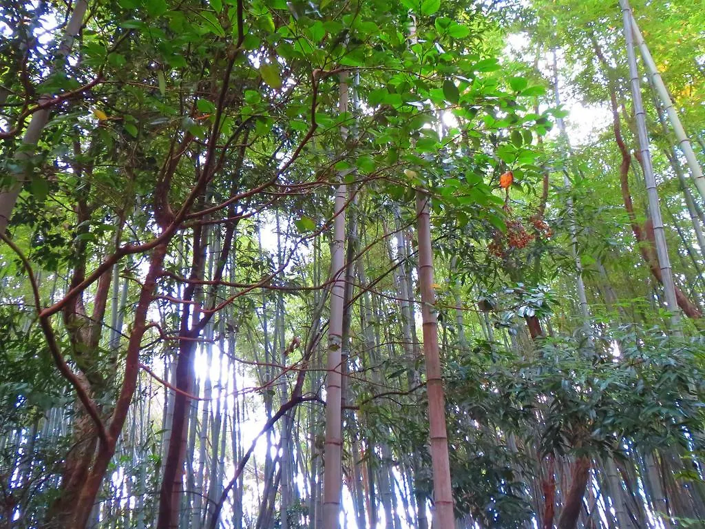 Murasakino Guesthouse Kyoto